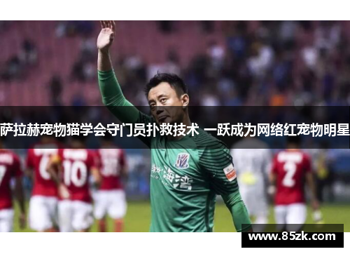 萨拉赫宠物猫学会守门员扑救技术 一跃成为网络红宠物明星 萨拉赫宠物猫学会守门员扑救技术 一跃成为网络红宠物明星